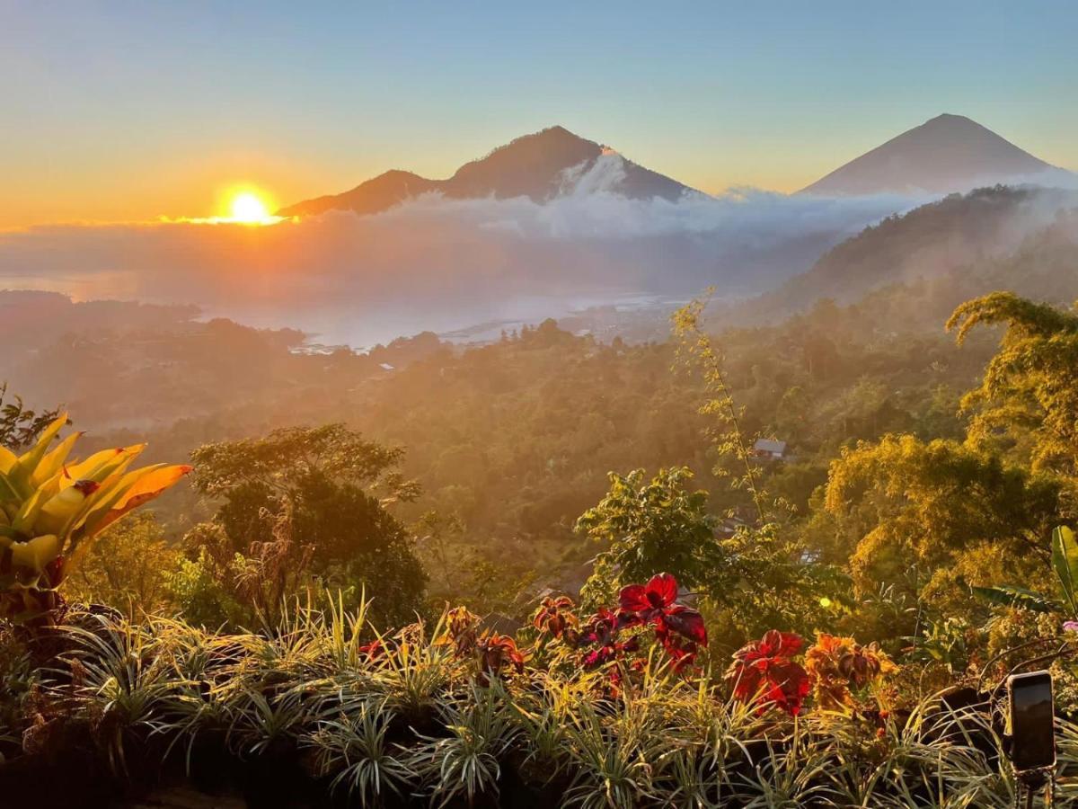 Camping Tukadsari Kintamani