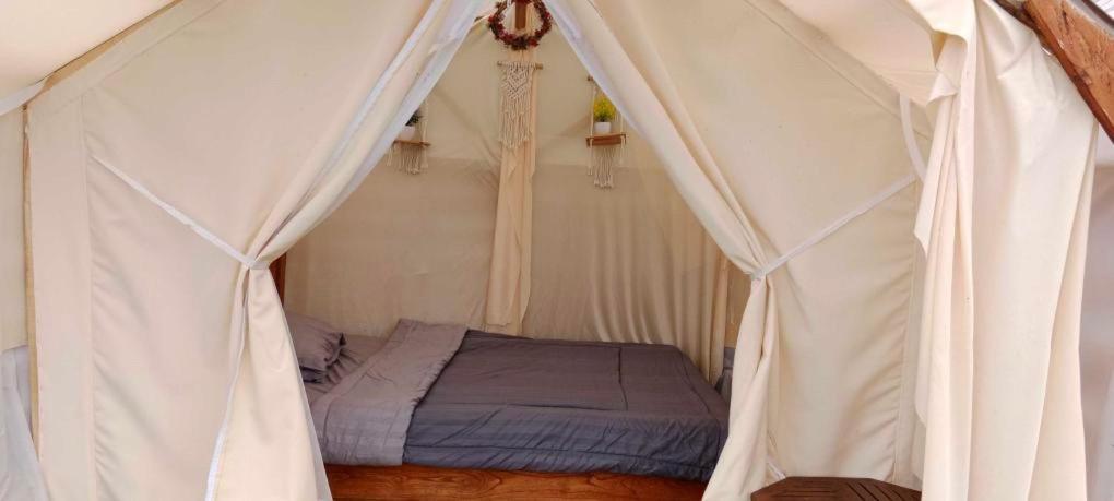 Tukadsari Camping Kintamani